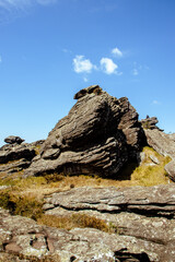 Fototapeta premium Ouro Preto vegetation