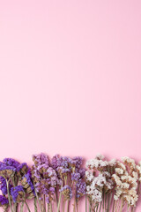 Cosmetic background with flowers on pink. Flat lay, copy space