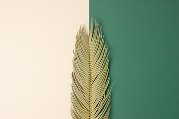 Tropical background with palm leaf on pastel beige and green. Flat lay, copy space