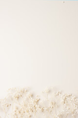 Cosmetic background with flowers on pastel beige. Flat lay, copy space