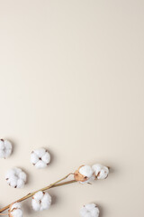 Cosmetic background with flowers on pastel beige. Flat lay, copy space