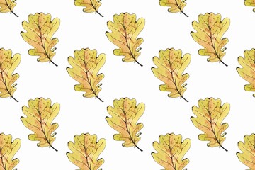Autumn seamless pattern of oak leaves. Watercolor hand painted illustrations. White bachground