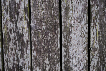 Obraz premium Grunge plank wood texture background close up