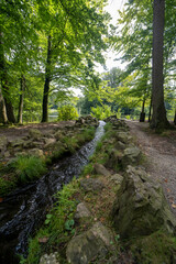 Fototapeta na wymiar A stream in Sonsbeek, Arnhem
