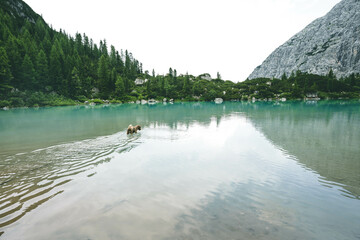 Blue sky glacial lake in the Dolomites - Lago di Sorapis