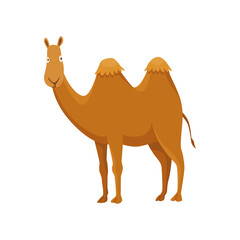 Camel with two hump, bactrian. Desert animal standing, side view. Cartoon vector. Flat icon design, isolated on white background