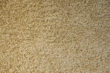 Texture of soft woolen carpet as background. Detailed abstract fabric texture.