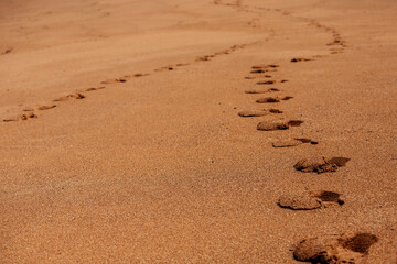 beach sand with human footprints