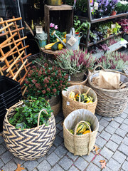 Baskets of autumnal plants and decorations