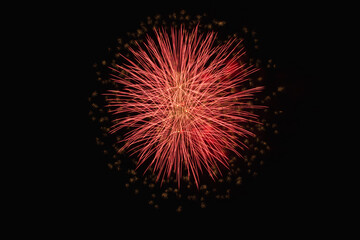 Fototapeta premium August Fireworks by the lake.