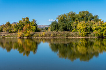 Fototapeta na wymiar Colorful Fall Trees Along Pond With Trees Reflections in Calm Water