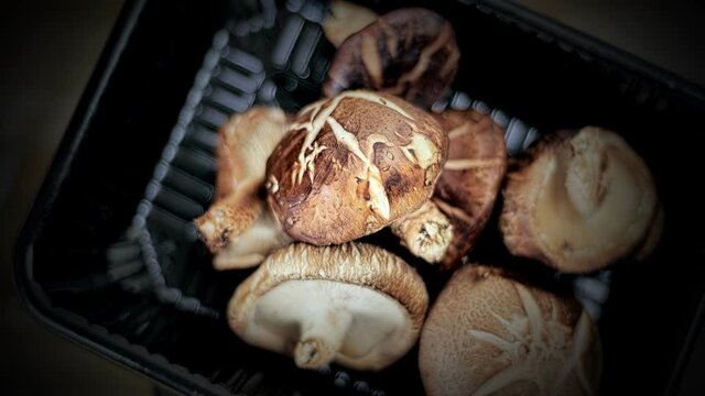 Fresh Shitake Mushroom