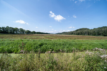 Obraz premium The De Diepen nature reserve in Milsbeek, The Netherlands