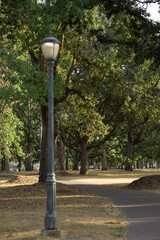 street lamp in park summer nature trees forest woods 