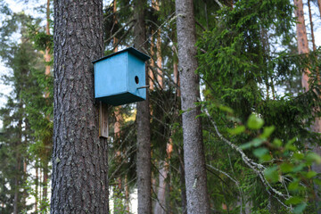 Bird house hanging om the tree in the park