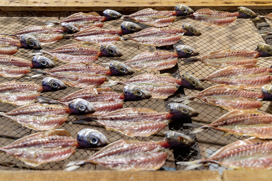 Peixe seco