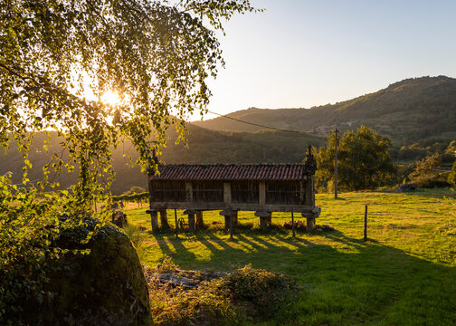 Espigueiro ao p&ocirc;r-do-sol