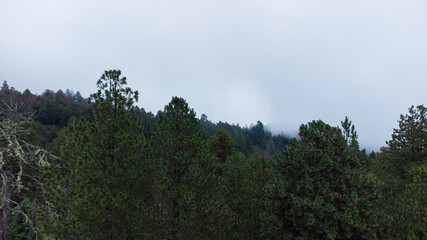 PARQUE NACIONAL NEVADO DE COLIMA