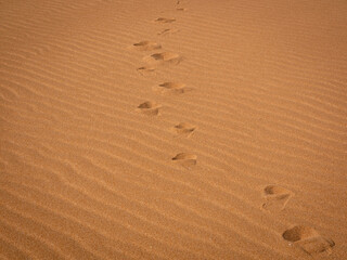 Fototapeta na wymiar Footprints in the Sand in the Taroa Dunes, La Guajira, Colombia