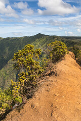 View of Waimea Canyon State Park in Kauai, Hawaii, United States.