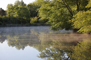 Fototapeta premium spring mist on pond