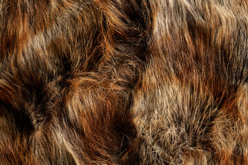 texture skin hairs brown and black background wallpaper otter wolf bison © gabriel