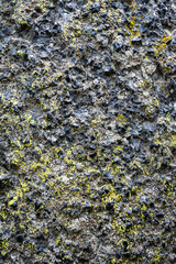 Rocks in the wild, as a textured abstract nature background
