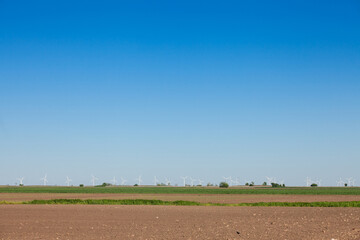 Obraz premium Landscape of Voivodina, Serbia, with blurred windmills in background. This windfarm, made of wind turbines, aimed at producing renewable energy and green electricity. .