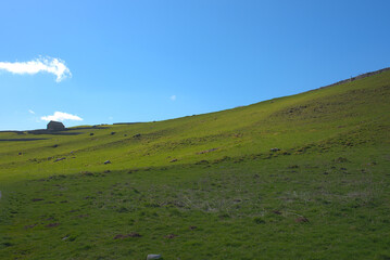 Fototapeta premium green hill landscape 