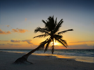 Sunrise on Tulum beach with coconut palm tree silhouette, Yucatan, Mexico. 