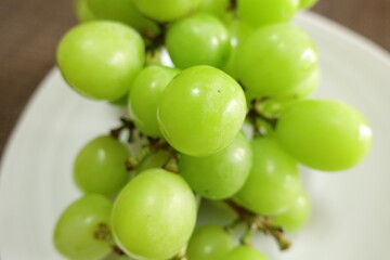 シャインマスカットのアップ