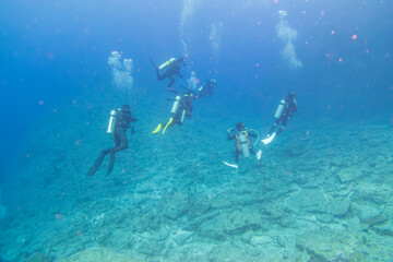 沖縄県島尻郡座間味村の慶良間諸島の阿嘉島でダイビングした時に見られる景色 The view when diving at Aka Island, Kerama Islands, Zamami Village, Shimajiri-gun, Okinawa, Japan.