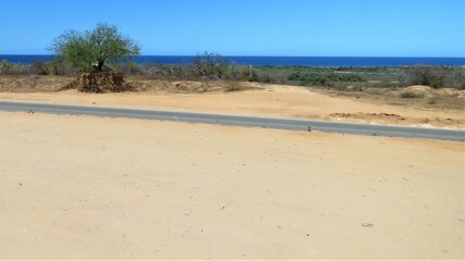 sand dunes along the beach