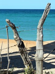 fence on the beach