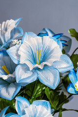 cute blue flower