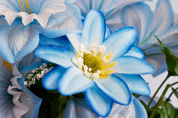 Obraz premium cute blue flower