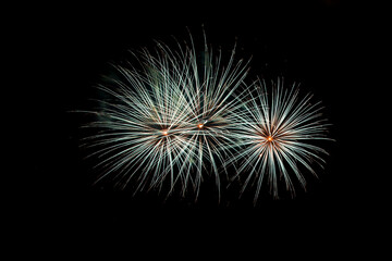 Colorful fireworks on a night sky background.