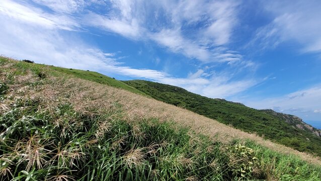Reeds and sky at Sinbulsan Mountain in Ulju-gu, Korea