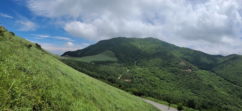 Reeds and blue sky at Sinbulsan Mountain in Korea