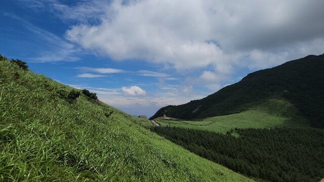 Reeds and blue sky at Sinbulsan Mountain in Korea