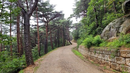 Fototapeta na wymiar The Chilbosan Natural Recreational Forest Hiking Course in Gyeongbuk, Korea