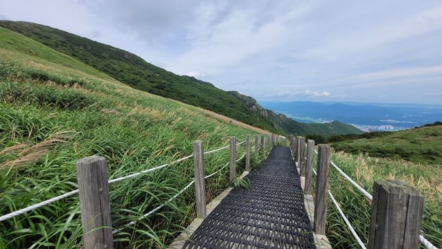 Reeds and sky at Sinbulsan Mountain in Ulju-gu, Korea