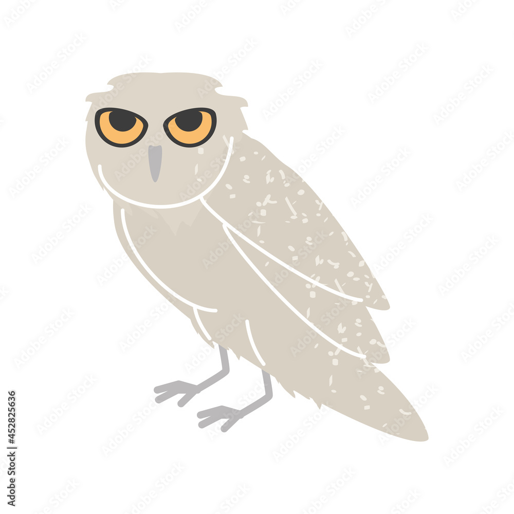 Poster barn owl icon