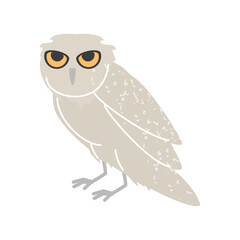 barn owl icon