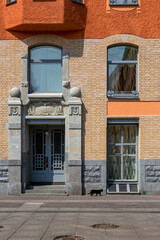 Black cat walks down Street St. Petersburg