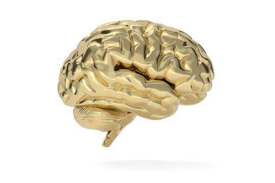 Gold brain isolated On White Background, 3D illustration.
