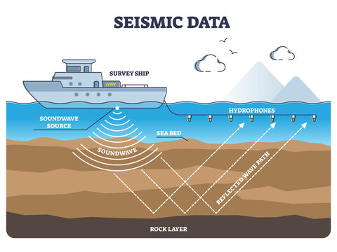 P and S seismic body waves, artwork - Stock Image - E360/0021 - Science  Photo Library