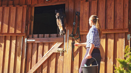 a young girl with a bucket in her hand walks towards a horse sticking its head out of the barn....