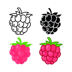 Raspberry icon. Simple outline, solid, flat style. Berry, pictogram, ripe, pink, sweet, delicious, food, nature, vegetarian concept. Vector design illustration isolated on white background. EPS 10