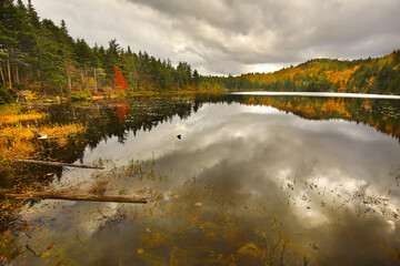 Fall foliage surrounding Lake Solitude in Newbury, New Hampshire.